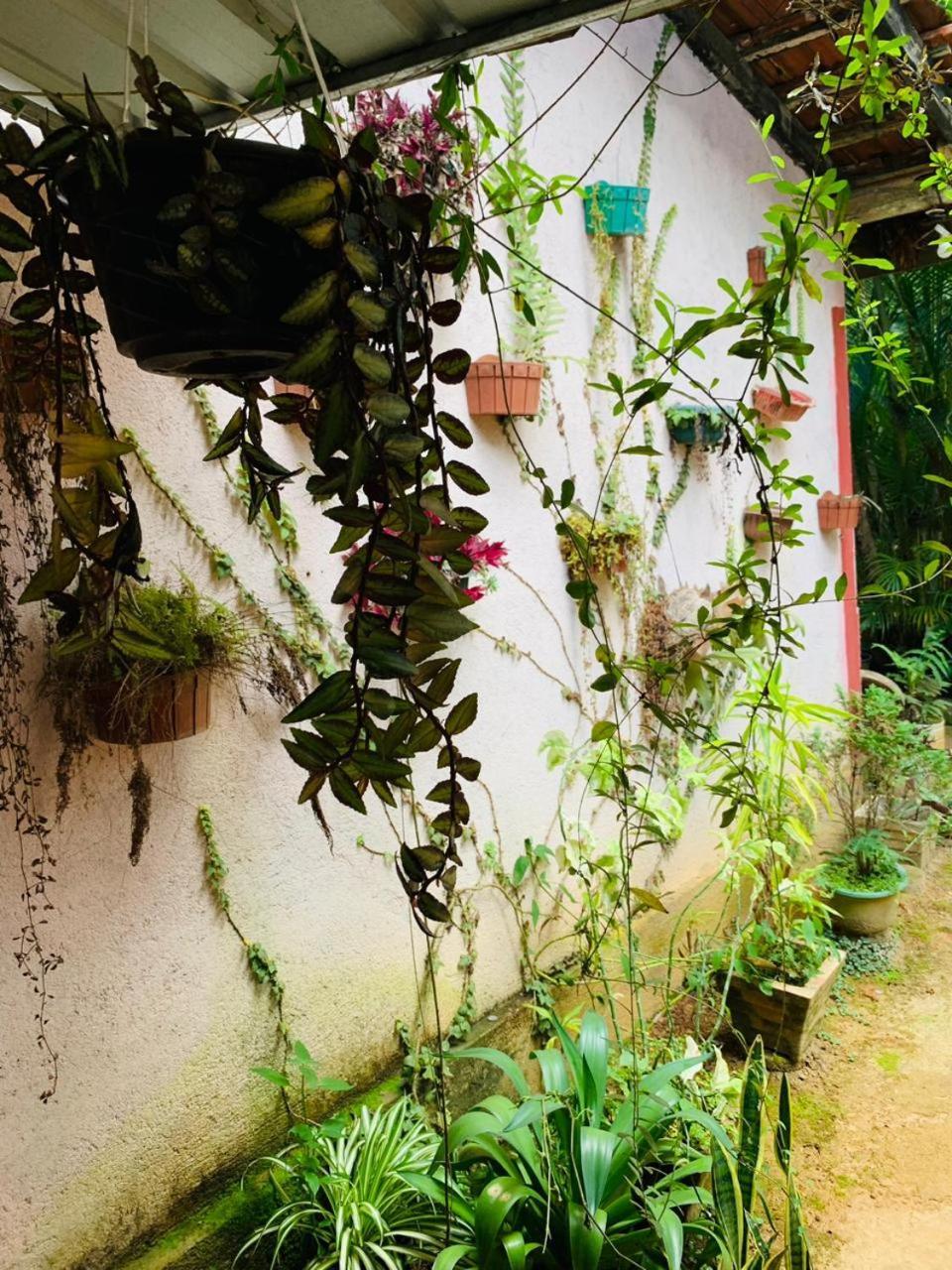 Little Cottage Ella Esterno foto